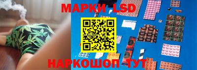 стафф Сланцы