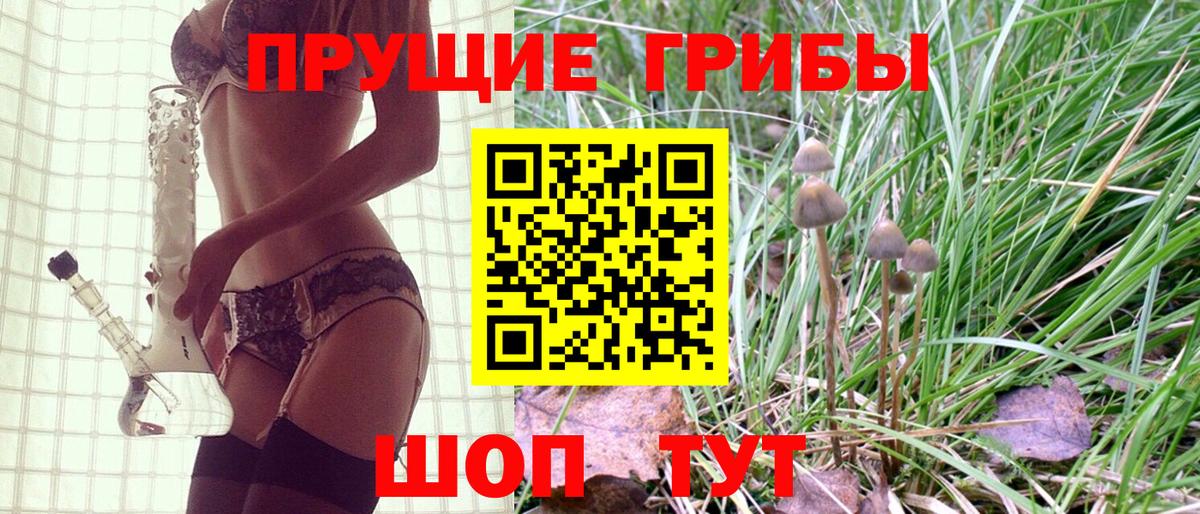 Псилоцибиновые грибы Cubensis Назарово